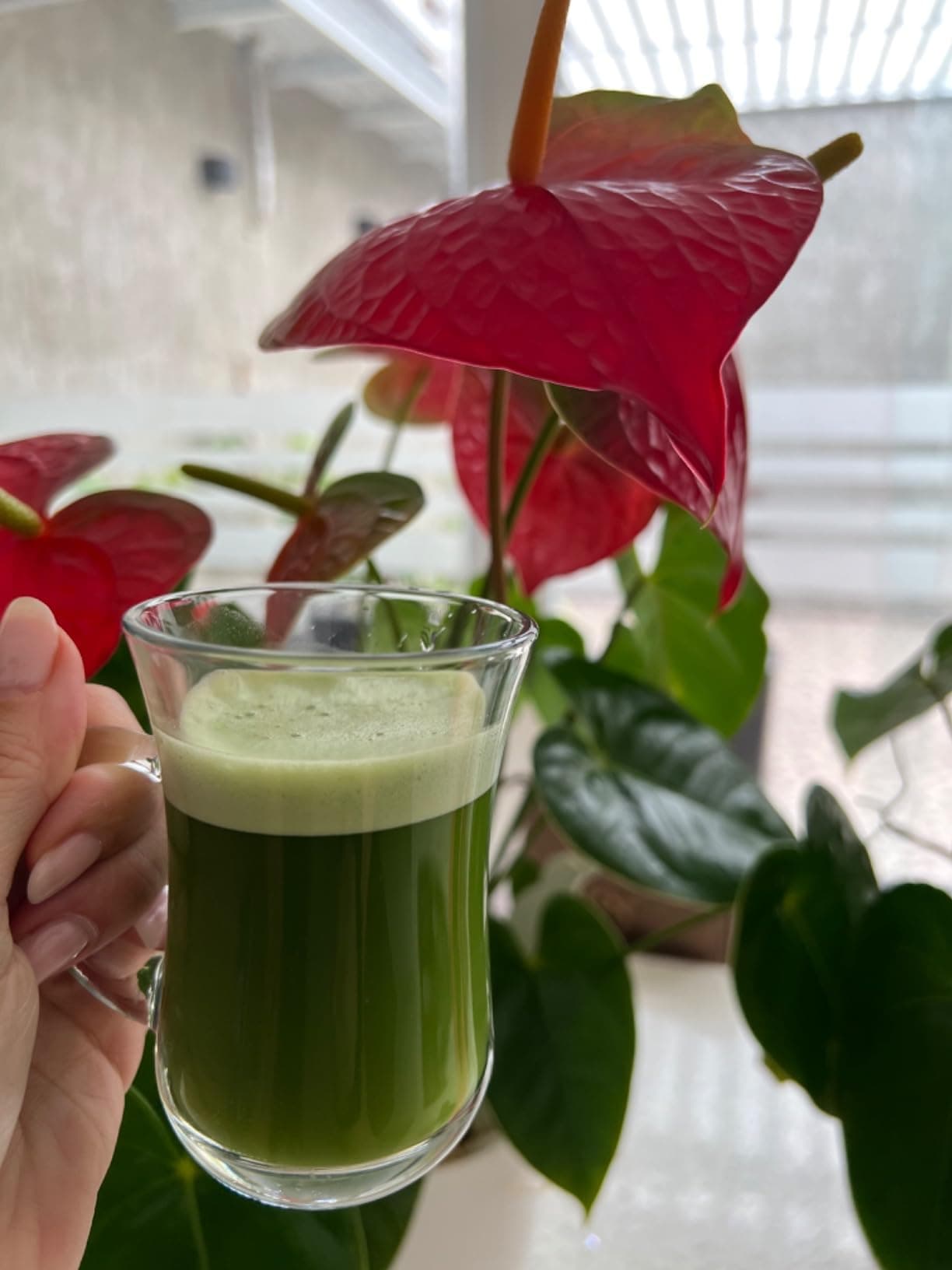 Naoki Chiran Harvest Ceremonial Matcha — lifestyle 2